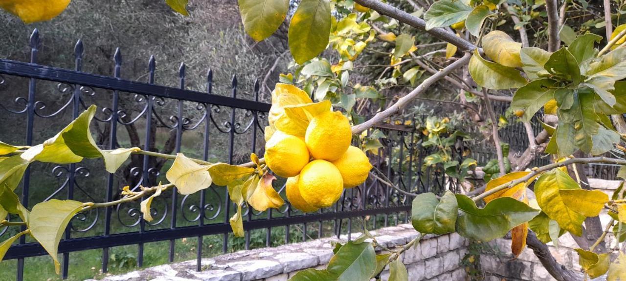 Outparga Apartment 4 מראה חיצוני תמונה